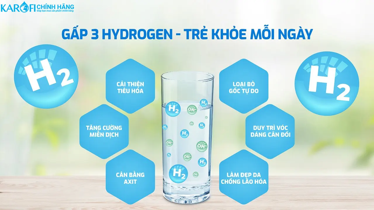 Máy lọc nước nóng lạnh Hydro-ion kiềm Karofi KAE-S695