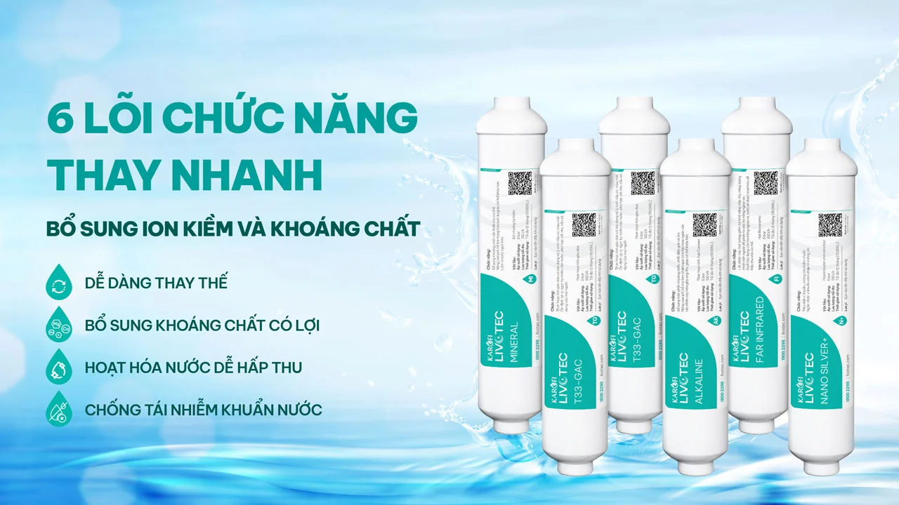 Máy lọc nước nóng nguội Karofi Livotec 615