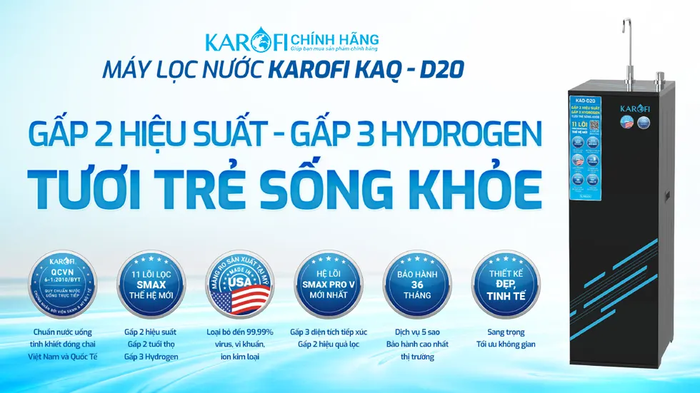 Máy lọc nước Karofi KAQ-D20