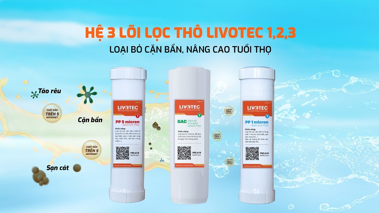 Máy lọc nước Karofi Livotec 216 